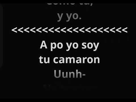 Elvis Martínez lleva vida letras