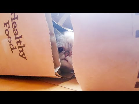 BUB got you a bag of Marbles, from space.