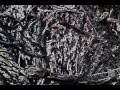 Tha Tribe - Wayne Silas Jr. - "Best of Both Worlds - World One"