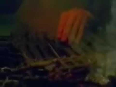 Roots manuva..junggle tings proper do snape