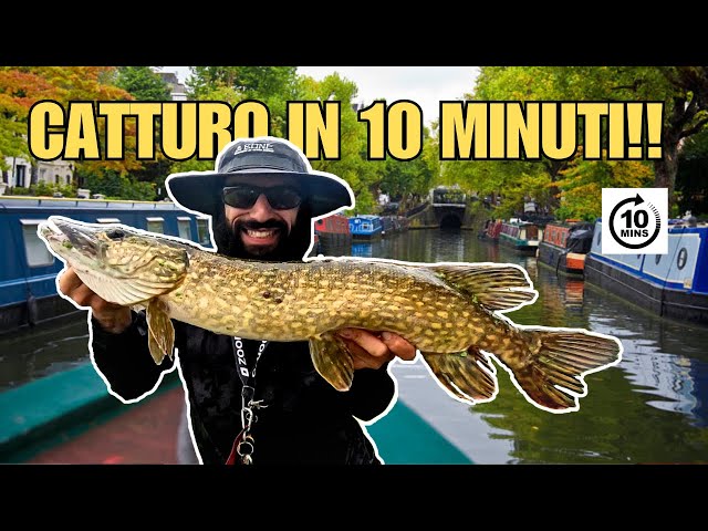 Judge.me YouTube video placeholder