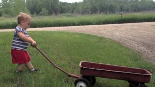 Hanks little red wagon