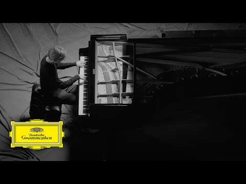 Julius Asal - TRANSITION II