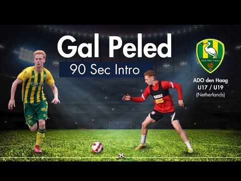 Gal Peled – 90 Sec Intro
