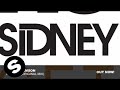 Sidney Samson - Get Low (Original Mix) 