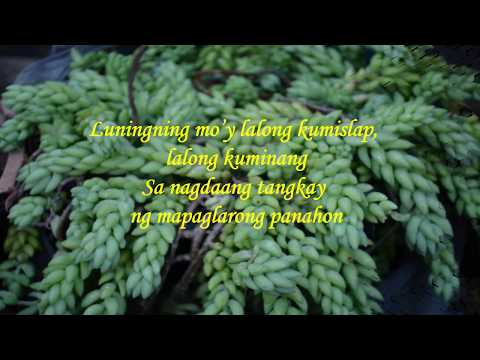 Love Poem....."KISLAP SA DILIM.....by Gemma Escolano