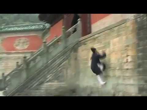 Wudang Qing Gong / Lightness Skills 武当轻功