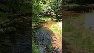 日光サイクル＆ツーリズム