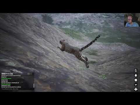 Road to Elder Stage Leopard pt. II | Animalia Survival