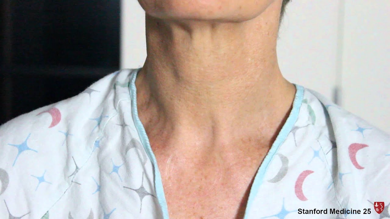 Bronchial and Vesicular Breath Sounds