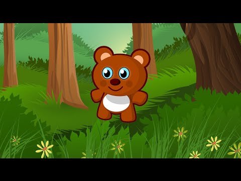 Puzzles animals Video