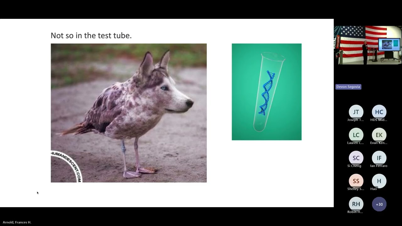 Frances Arnold Distinguished Lecture Series