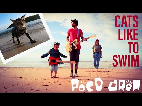 Cats Like to Swim - POCO DROM [Official Video] kid friendly grunge about being different!