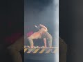 Doja Cat Performing Wet Vagina