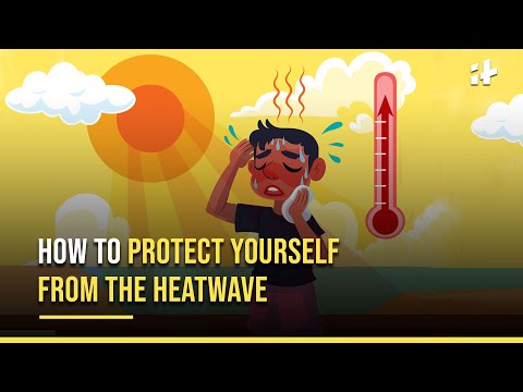 Heatwave in North India: Heatwave Grips Parts of India, How To Protect Yourself