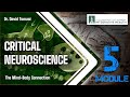 Week 5: Between Psyche and Mind / Part 1  (Critical Neuroscience)