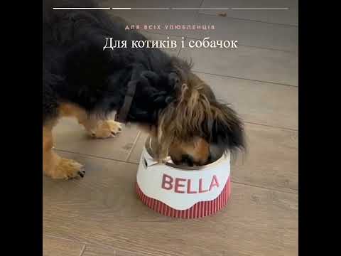 Миска для собак и кошек с именем питомца 3D More 200 мл, салатовый - фото 2 - id-p3227205367