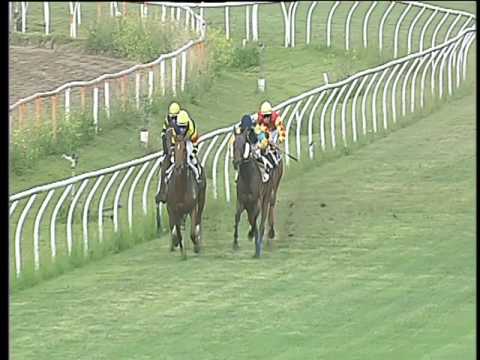 Galoppo 25/05/2017 - 4ª corsa