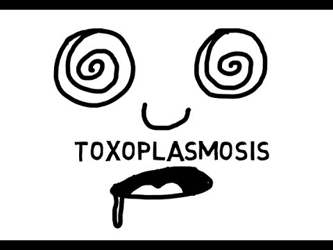 Toxoplasma - The mind controlling parasite