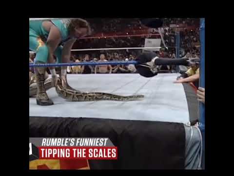 snake in WWE 😯😯🤣🤣😂😃😀💪🏻💓..,.