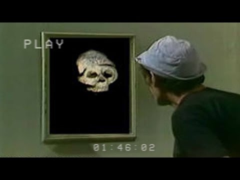 Vd4gLQ6oUwk/default.jpg