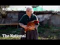 Italian Town S Secret To Centenarians The Subject Of New Research