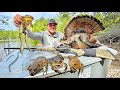 Road Trippin Across The South Hunting Fishing And Exploring Giant Bull Frog Catch Cook