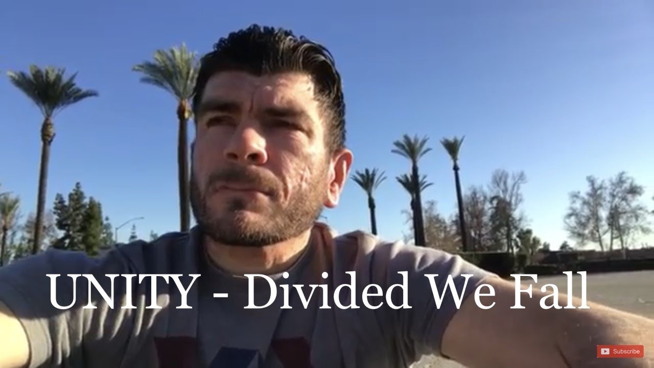 UNITY – Divided We Fall