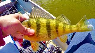 Spring Walleye and Perch Fishing on the Mississippi River! - GIANT Surprise Fish!