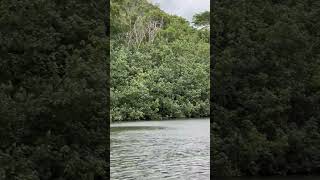 #cruise #adventure #funtimes #vacation #travel #travelphotography #vlog #blog #cruiseadventure