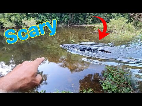 Monster Crocodile in Camp - Am I insane! - Solo jungle camping - EP.555
