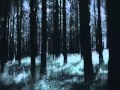I Follow Rivers- Lykke Li (official video) 