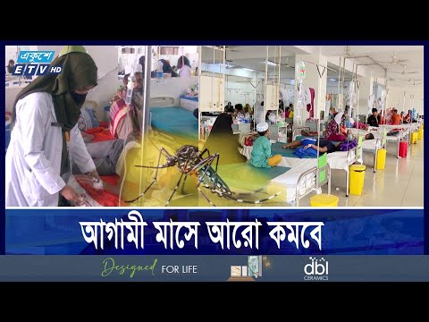 কমছে ডেঙ্গুর প্রকোপ, রোগীর চাপ থাকলেও পরিস্থিতি নিয়ন্ত্রণে
