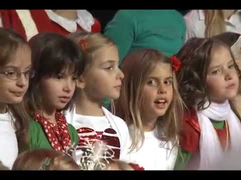 Luka Skribola - Tara - Carolija