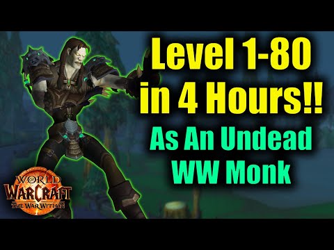 Solo Leveling From 1-80 in Only 4 Hours! (4:20:00.25)