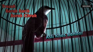 Download lagu Trucuk Borak barik borok cikrok asli BANDAR Batang mp3