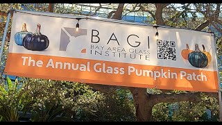 Annual Glass Pumpkin Patch