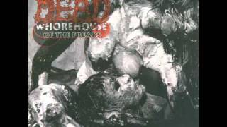 Plastic Whore Romance