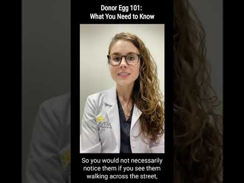 Donor Egg 101: What You Need To Know