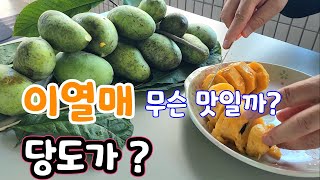 당도가 무려? 항암효능까지 뽀뽀열매라고