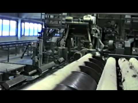 HistorienOmHarestusaga