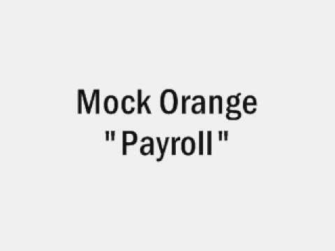 Mock Orange - Payroll