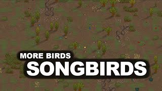 Video 9