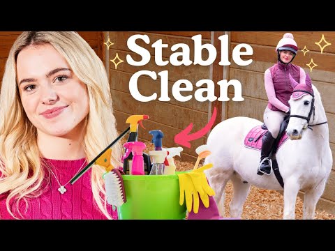 Ultimate Stable Spring Clean and Restoration - Satisfying