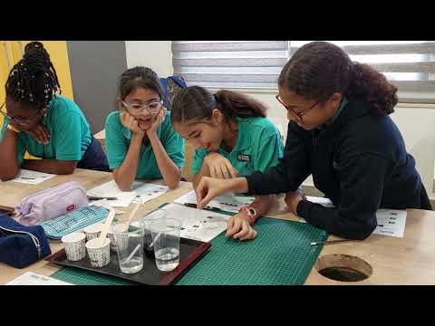 Get into the Lab with the PYP Year 6 Eagles