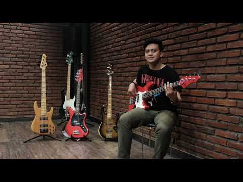 FAD Guitars - Dean Town (Vulfpeck) 🎧 - Angga Pramana