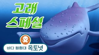 바다 탐험대 옥토넛 - 고래! | 모음집 (20분+)