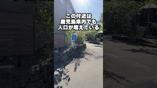 【番外編】帖佐駅→姶良駅ぶらり散歩