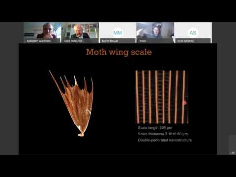 MetaMAT’s 12th webinar - 07.10.2020 - Q&A - Marc Holderied