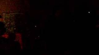 Rookie Of The Year- The Blue Roses